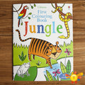 Children’s Dinosaur Coloring Sticker Book – Fun Learning & Activity Book for Toddlers - The Little Lights