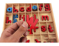 Montessori Wooden Alphabet Letter Box – Lowercase Early Learning Toy for Kids - The Little Lights