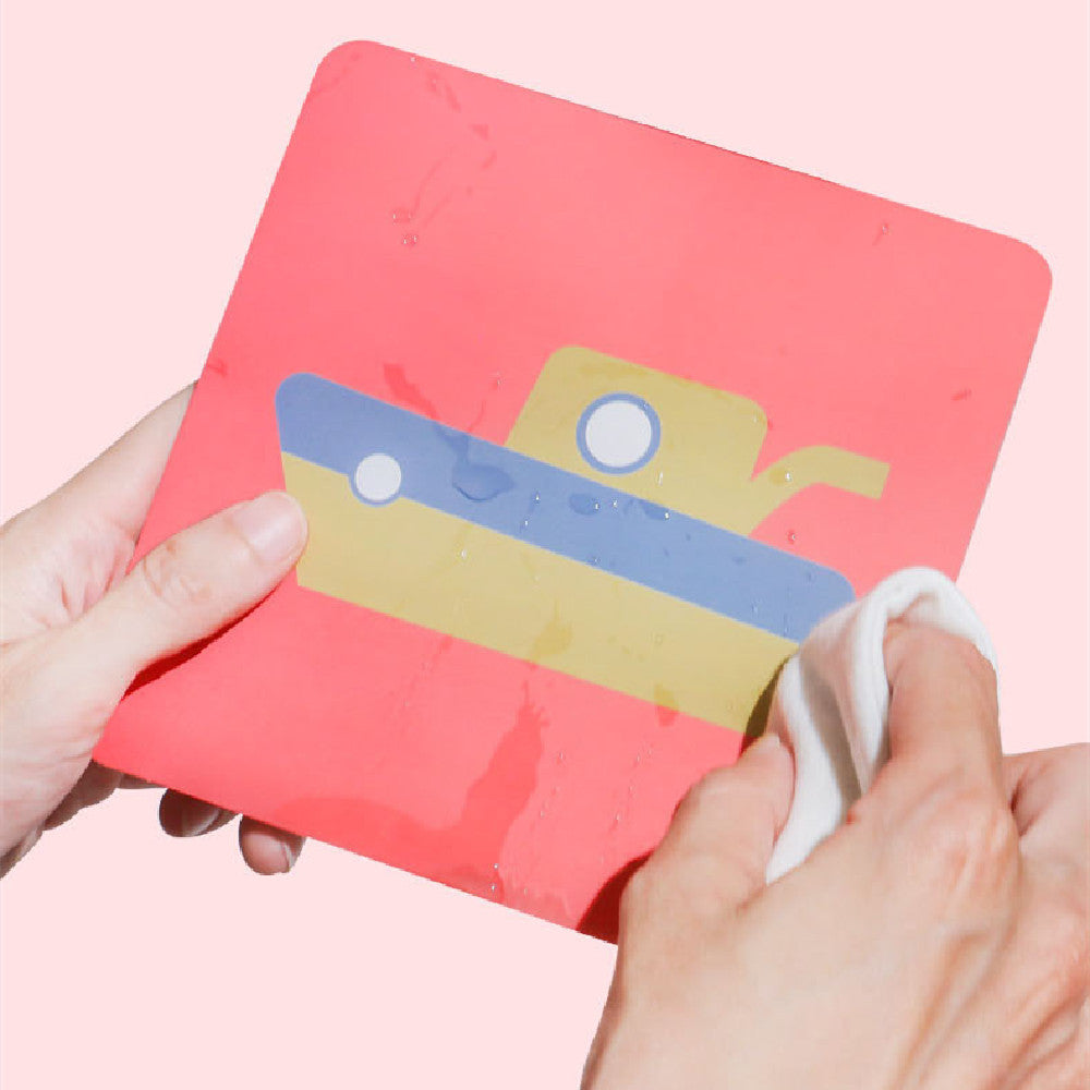 Infant Early Education Training Cards – High Contrast Flashcards for Newborn Visual Development | Baby Brain Stimulation Set - The Little Lights