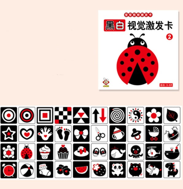 Infant Early Education Training Cards – High Contrast Flashcards for Newborn Visual Development | Baby Brain Stimulation Set - The Little Lights